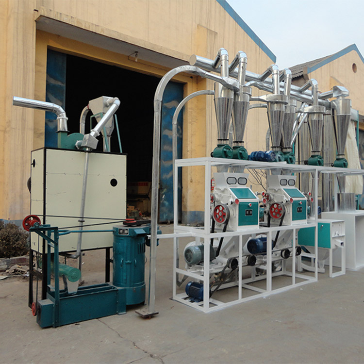 10tpd wheat flour mill plant