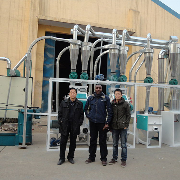 10tpd wheat flour mill plant