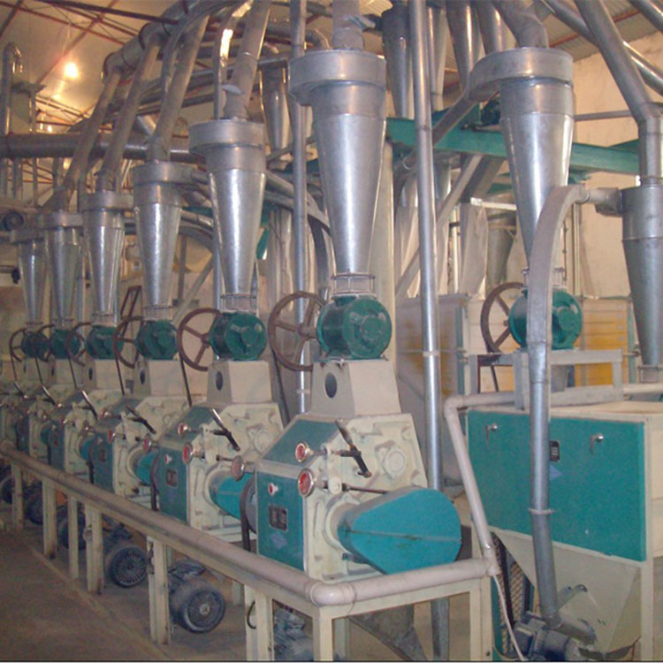 30ton/24hours wheat flour mill