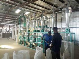  20ton per 24hours wheat flour mill