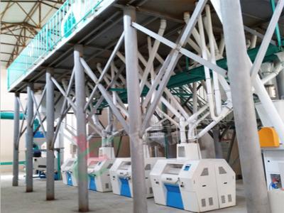 60tpd wheat flour mill plant,60tpd flour mill