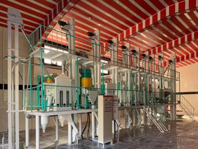 30-40tpd complete rice mill plant
